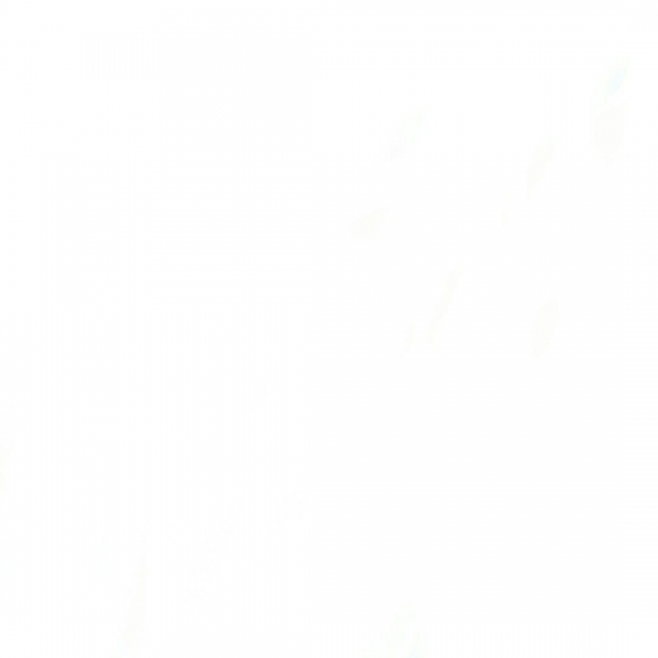 Pabellón Municipal Guerreras Naveros