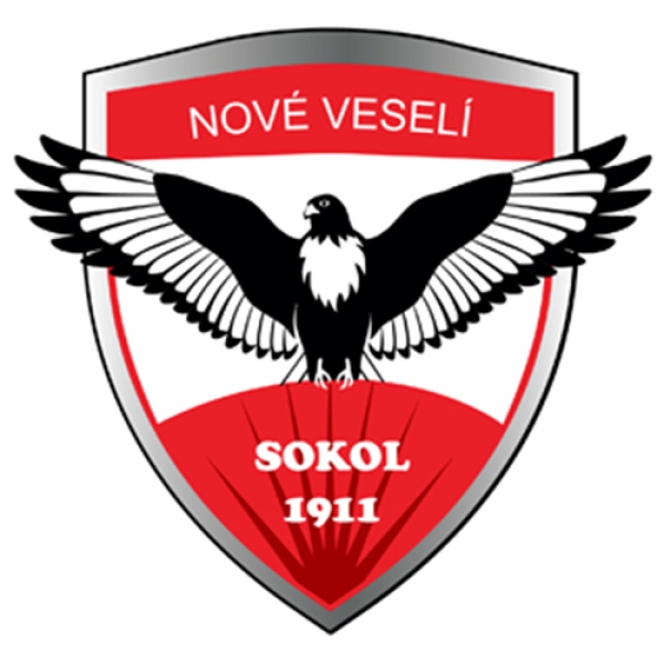  TJ Sokol Nove Veseli B