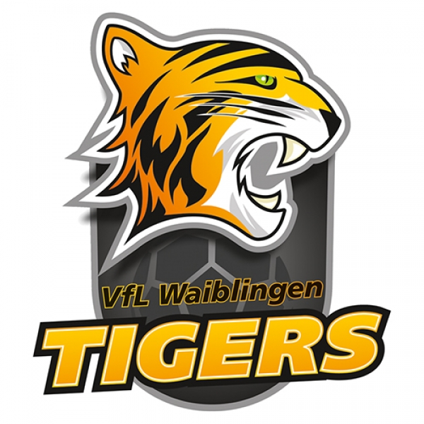 Vfl Waiblingen Handball