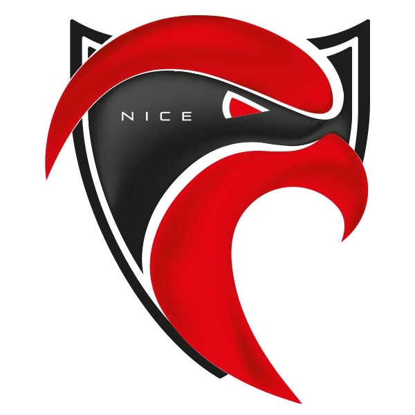 Cavigal Nice Handball