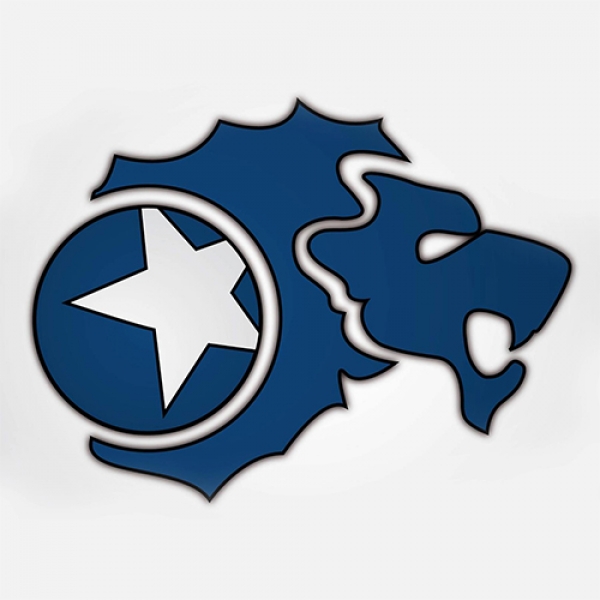 MGA Fivers Damen Handballclub