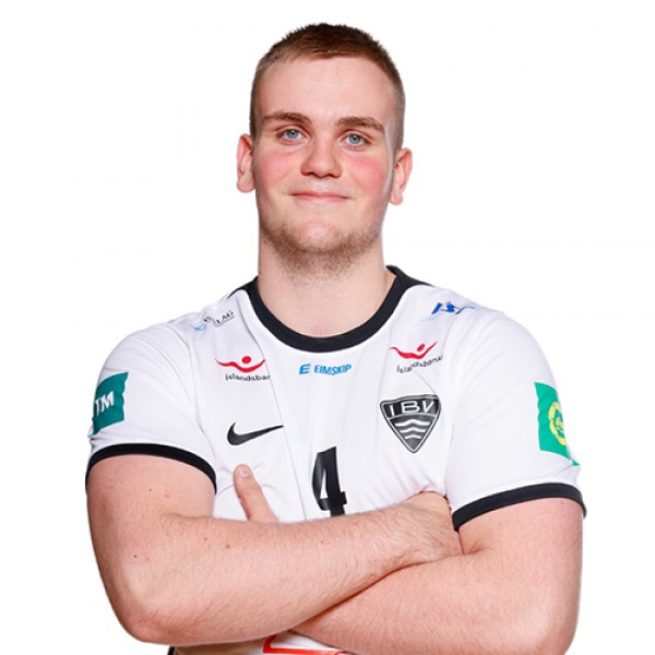 Hinrik Hugi Heidarsson