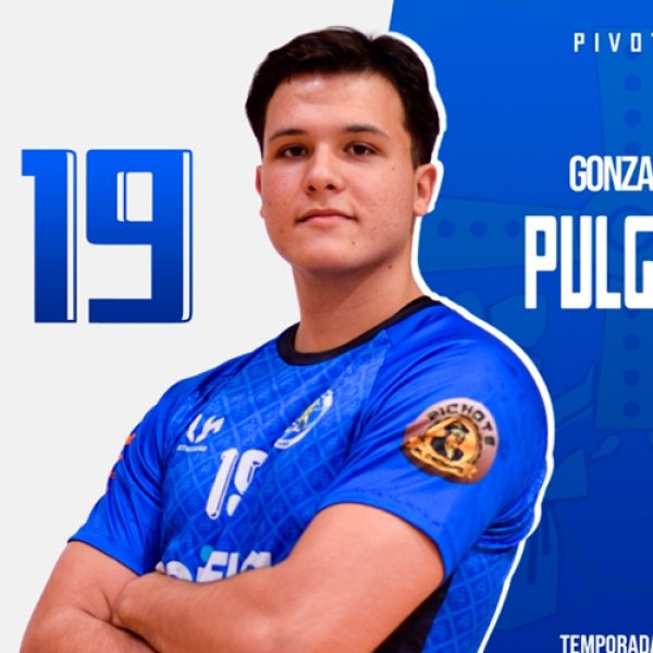Gonzalo  Pulgar